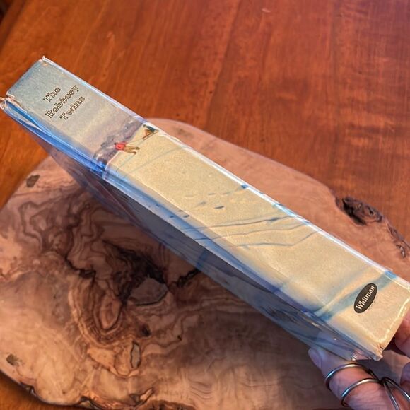 The Bobbsey Twins Merry Days Indoors and Out Hardcover Book - Picture 3 of 6